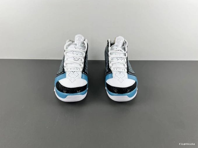 23 UNC Jordan 318376-041 0729